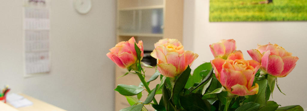 Physiotherapie Erfurt Physiotherapie Erfurt