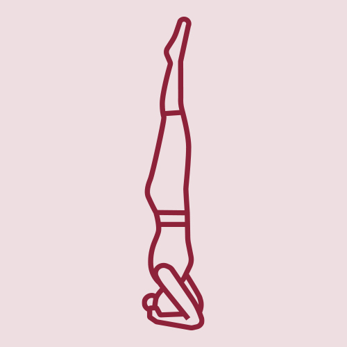 Grundstellungen Hatha Yoga: Kopfstand Grundstellungen Hatha Yoga: Kopfstand