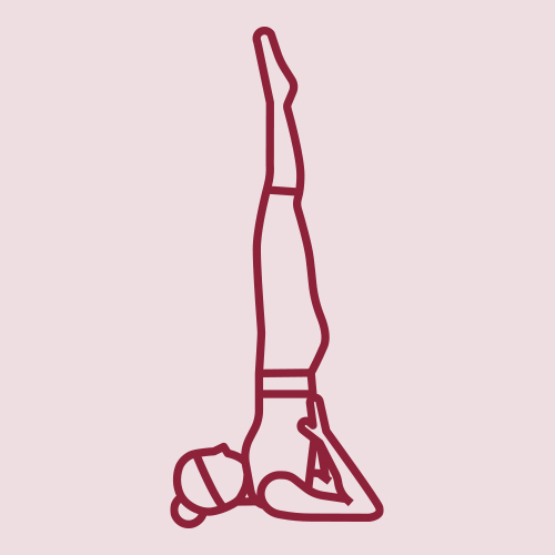 Grundstellungen Hatha Yoga: Schulterstand Grundstellungen Hatha Yoga: Schulterstand